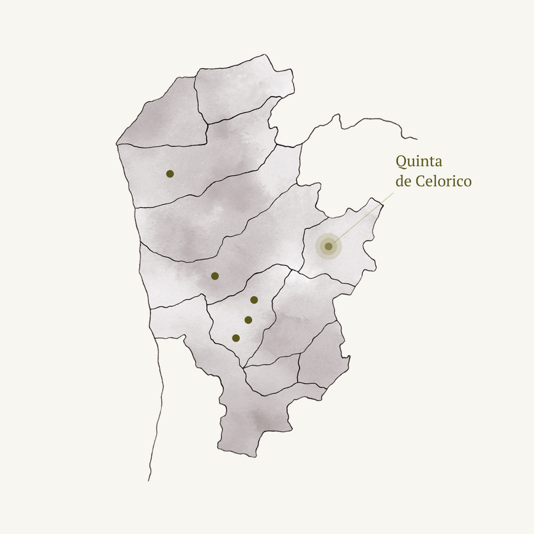 Quinta de Celorico